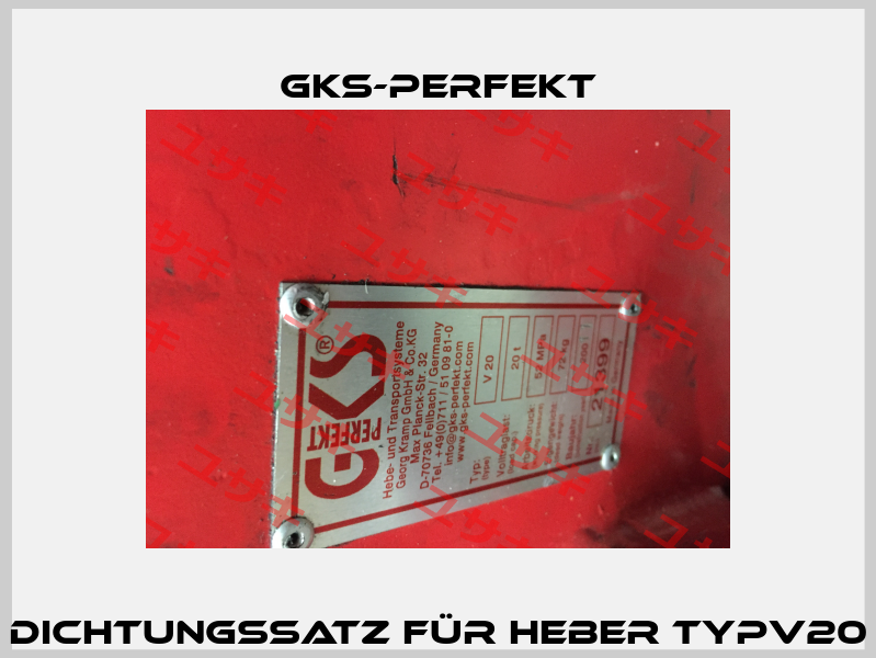 Dichtungssatz für Heber TypV20 GKS-Perfekt