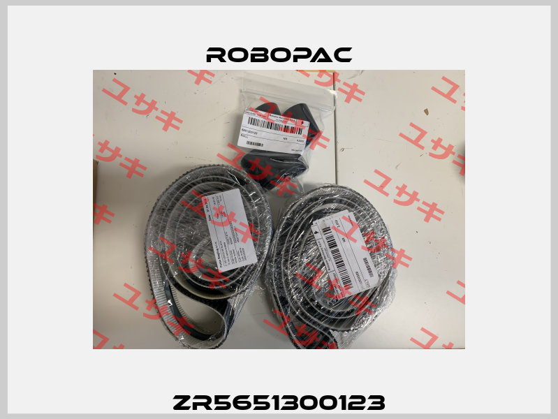 ZR5651300123 Robopac