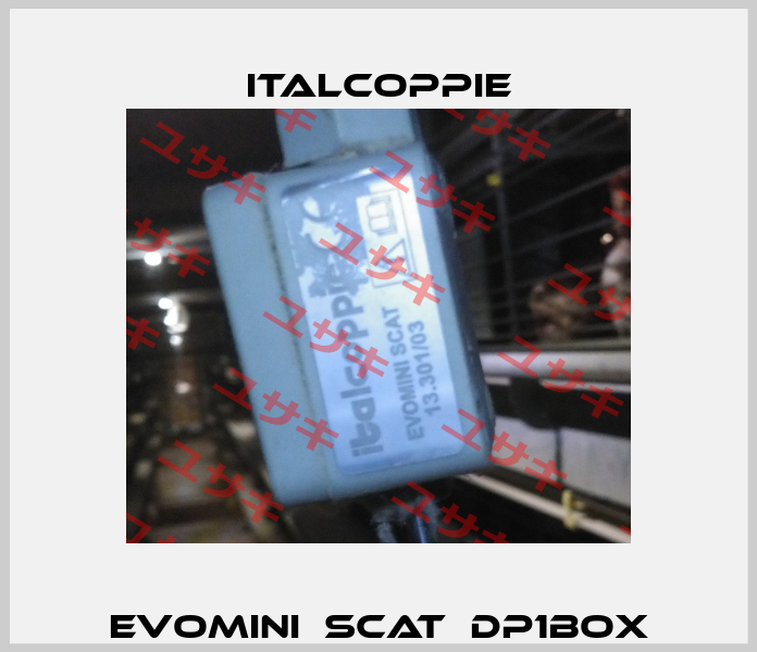 EVOMINI　SCAT　DP1BOX italcoppie