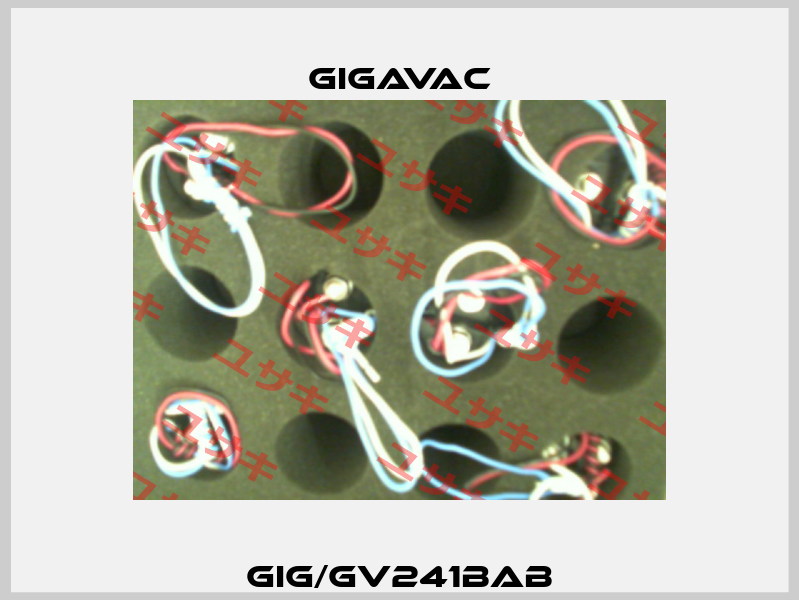 GIG/GV241BAB Gigavac