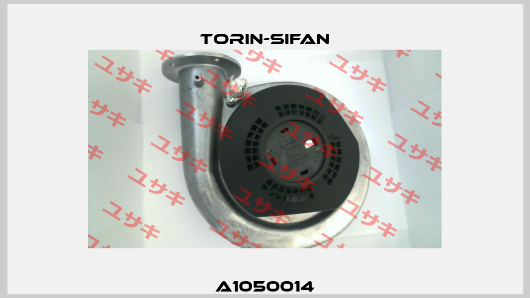A1050014 Torin-Sifan