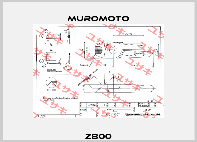 Z800 Muromoto
