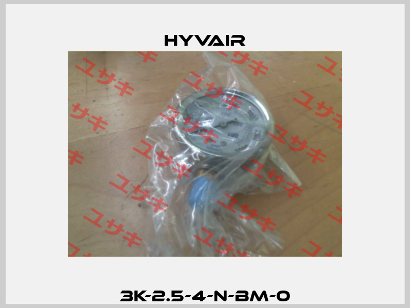3K-2.5-4-N-BM-0 Hyvair