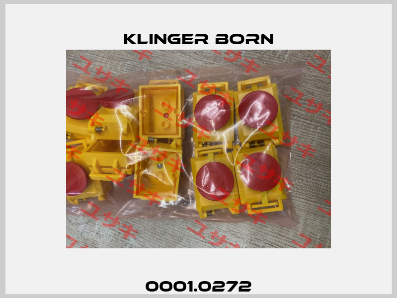 0001.0272 Klinger Born