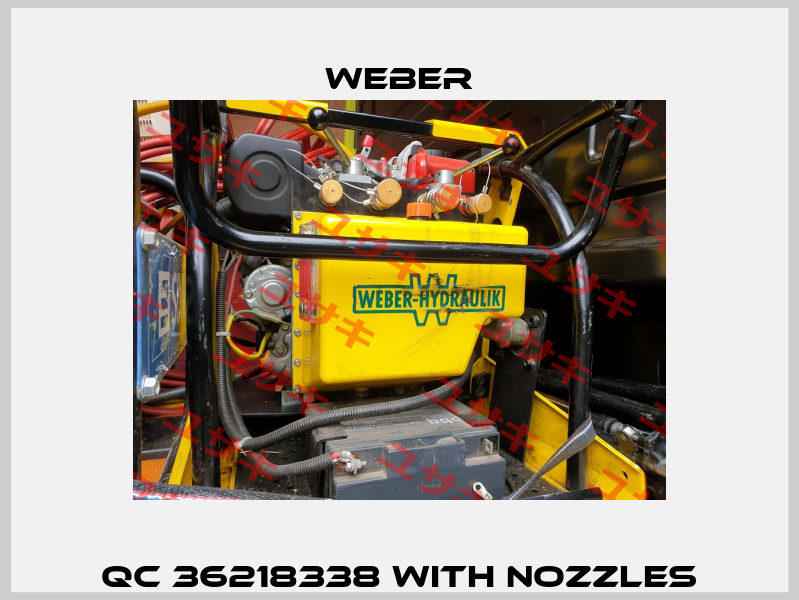 QC 36218338 with nozzles Weber