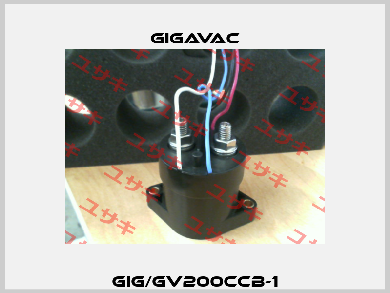 GIG/GV200CCB-1 Gigavac