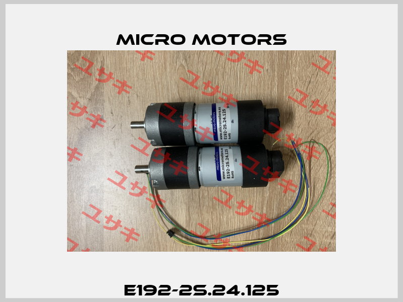 E192-2S.24.125 Micro Motors