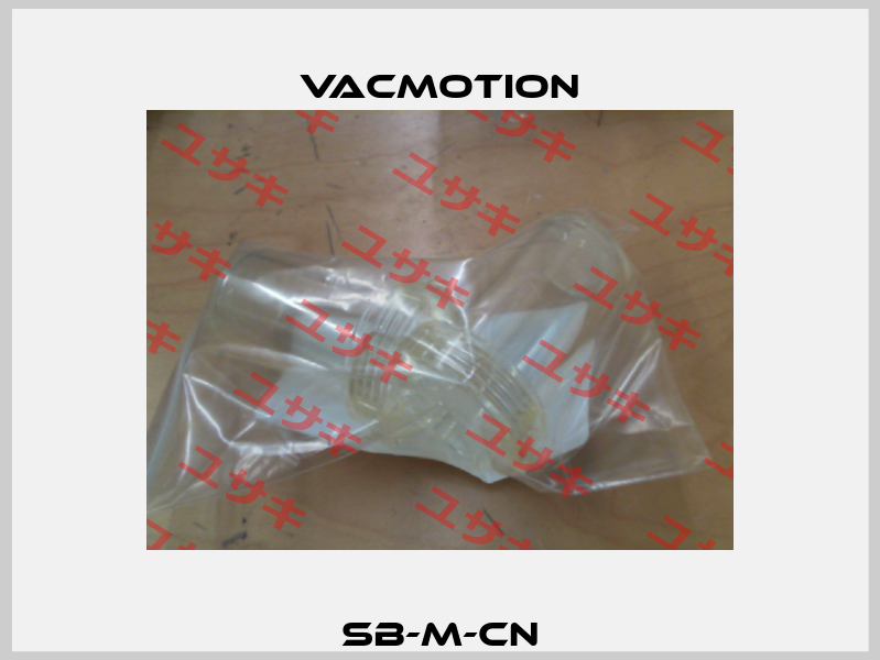 SB-M-CN VacMotion