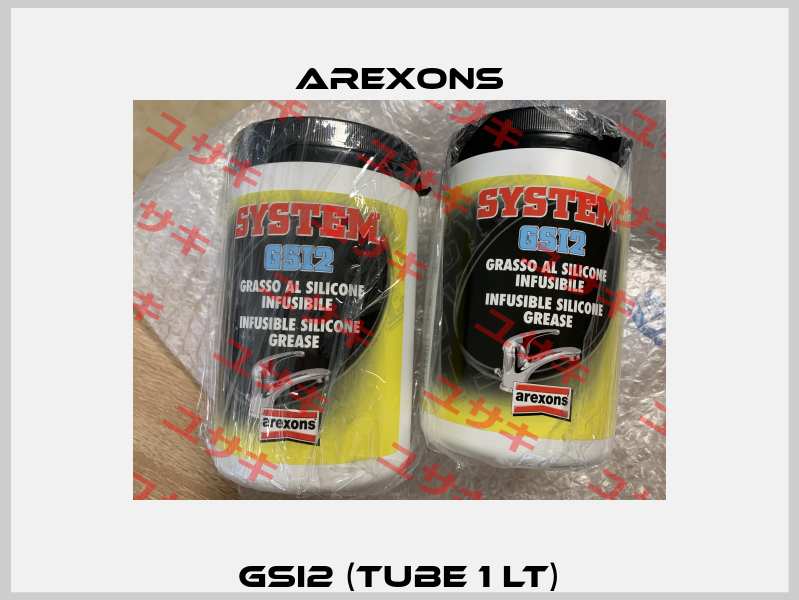 GSI2 (tube 1 lt) AREXONS