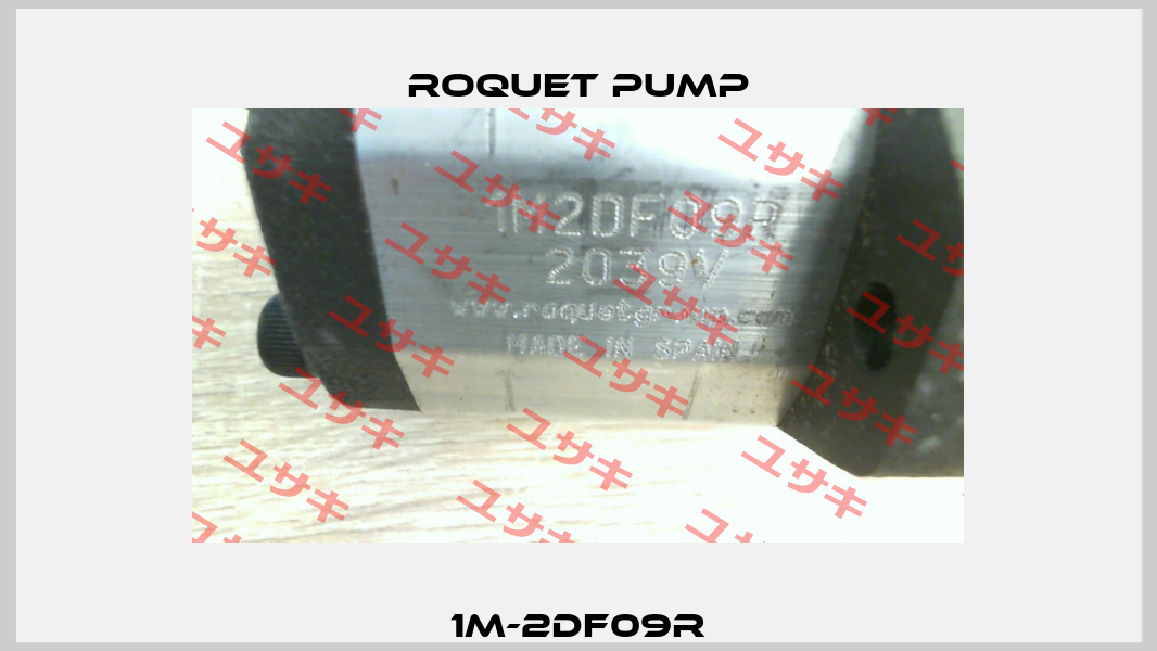 1M-2DF09R Roquet pump