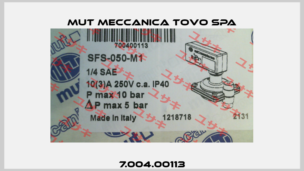 7.004.00113 Mut Meccanica Tovo SpA