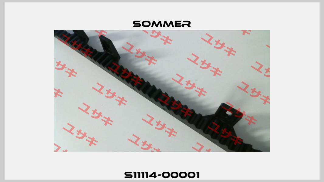 S11114-00001 Sommer