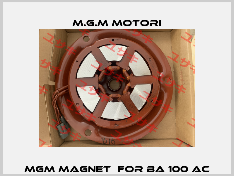 MGM Magnet  for BA 100 AC M.G.M MOTORI