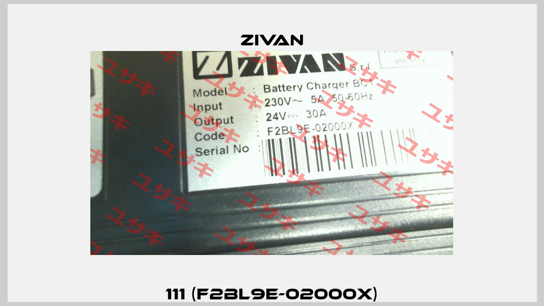 111 (F2BL9E-02000X) ZIVAN