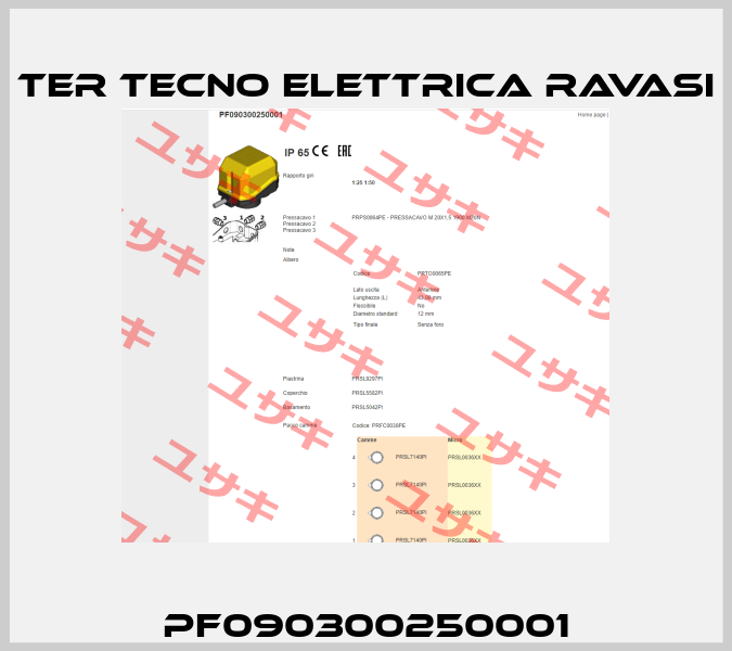 PF090300250001 Ter Tecno Elettrica Ravasi