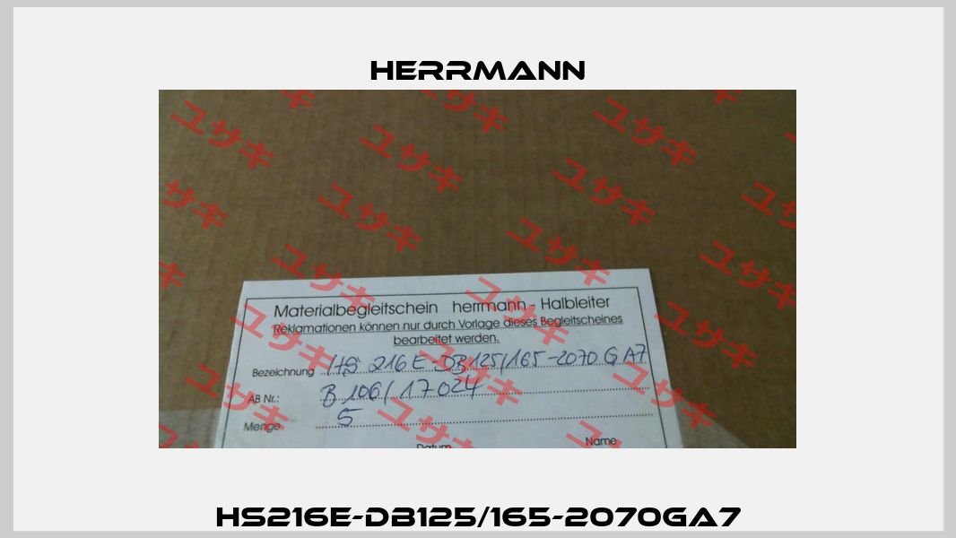 HS216E-DB125/165-2070GA7 Herrmann