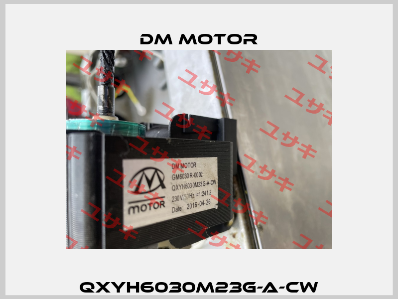 QXYH6030M23G-A-CW DM Motor
