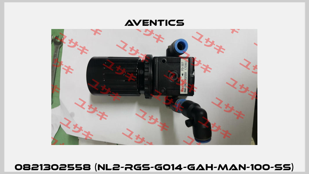 0821302558 (NL2-RGS-G014-GAH-MAN-100-SS) Aventics