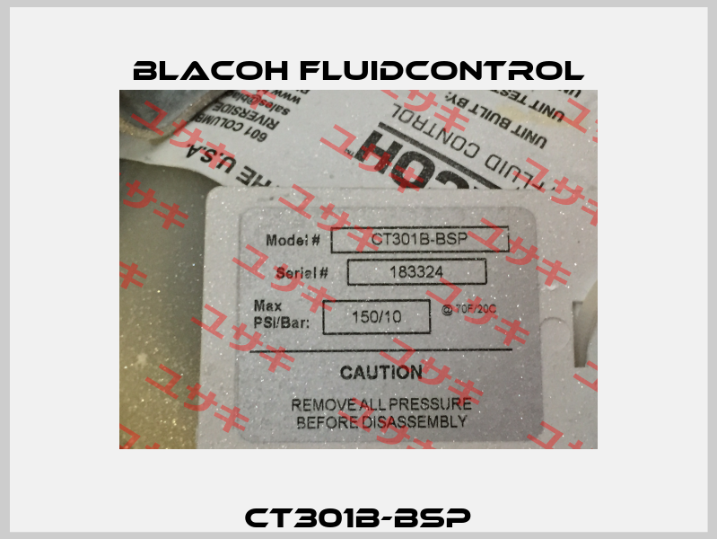 CT301B-BSP Blacoh Fluidcontrol