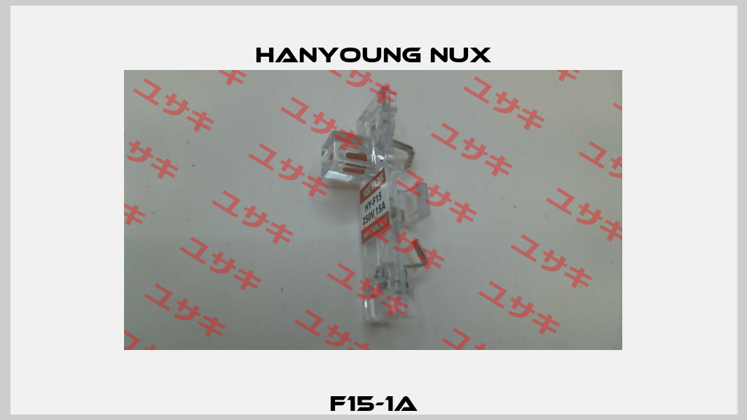 F15-1A HanYoung NUX
