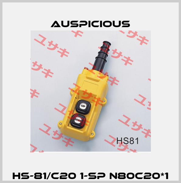 HS-81/C20 1-SP N80C20*1 Auspicious