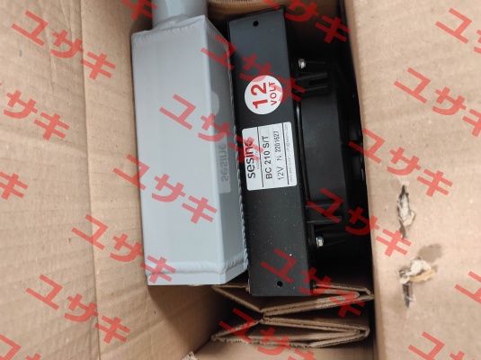 3RBC21012 Sesino