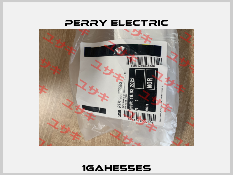 1GAHE55ES Perry Electric