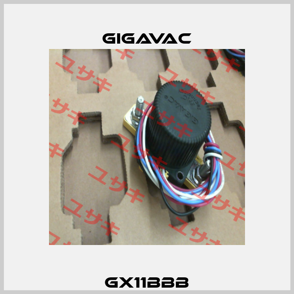 GX11BBB Gigavac