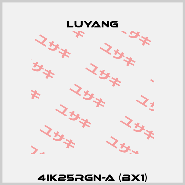 4IK25RGN-A (BX1) LUYANG