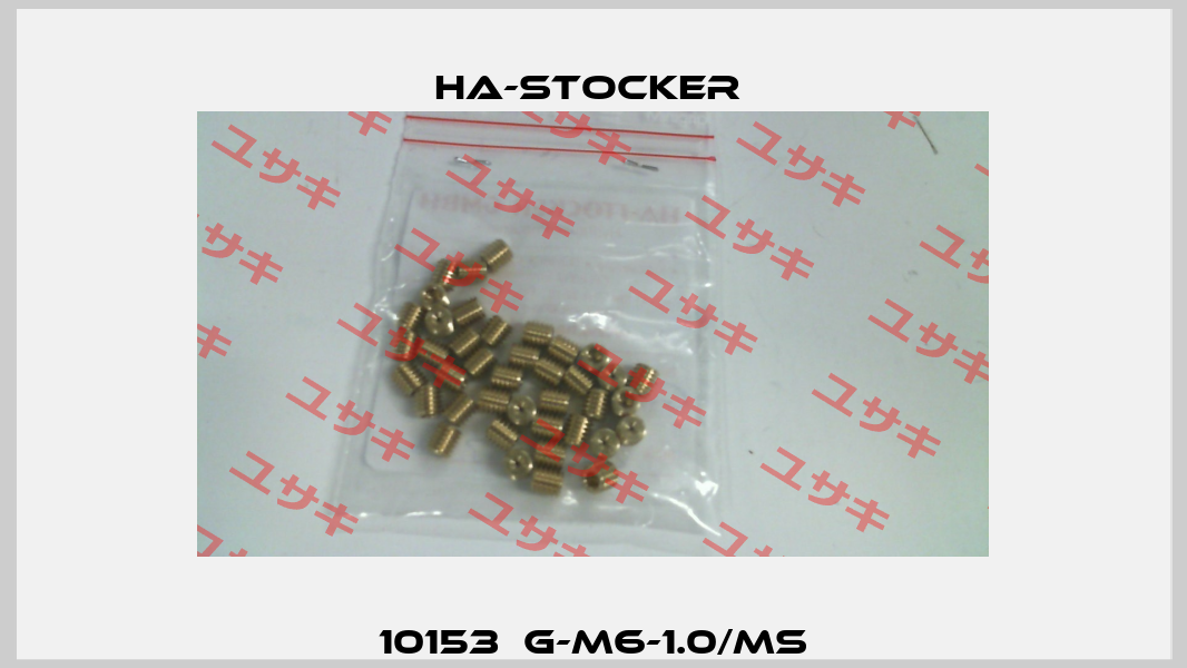 10153  G-M6-1.0/Ms HA-Stocker 