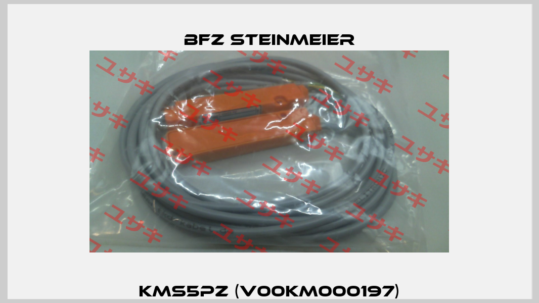 KMS5PZ (V00KM000197) BFZ STEINMEIER