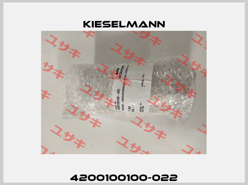 4200100100-022 Kieselmann