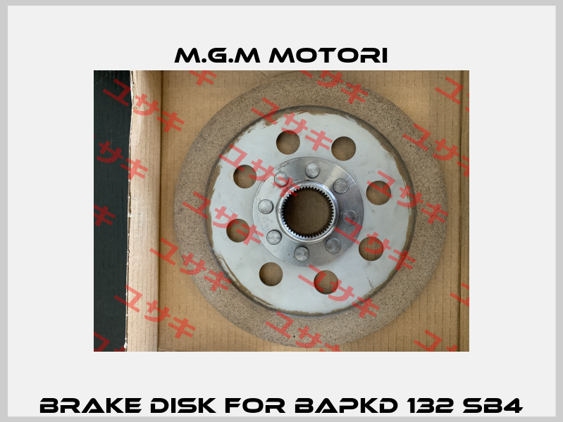brake disk for BAPKD 132 SB4 M.G.M MOTORI