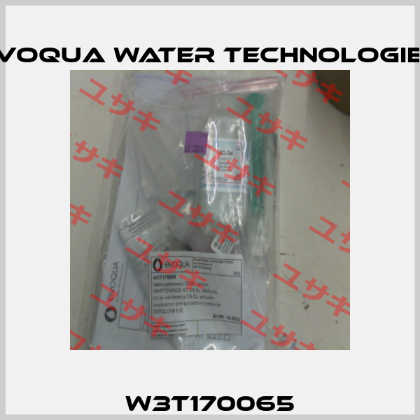 W3T170065 Evoqua Water Technologies