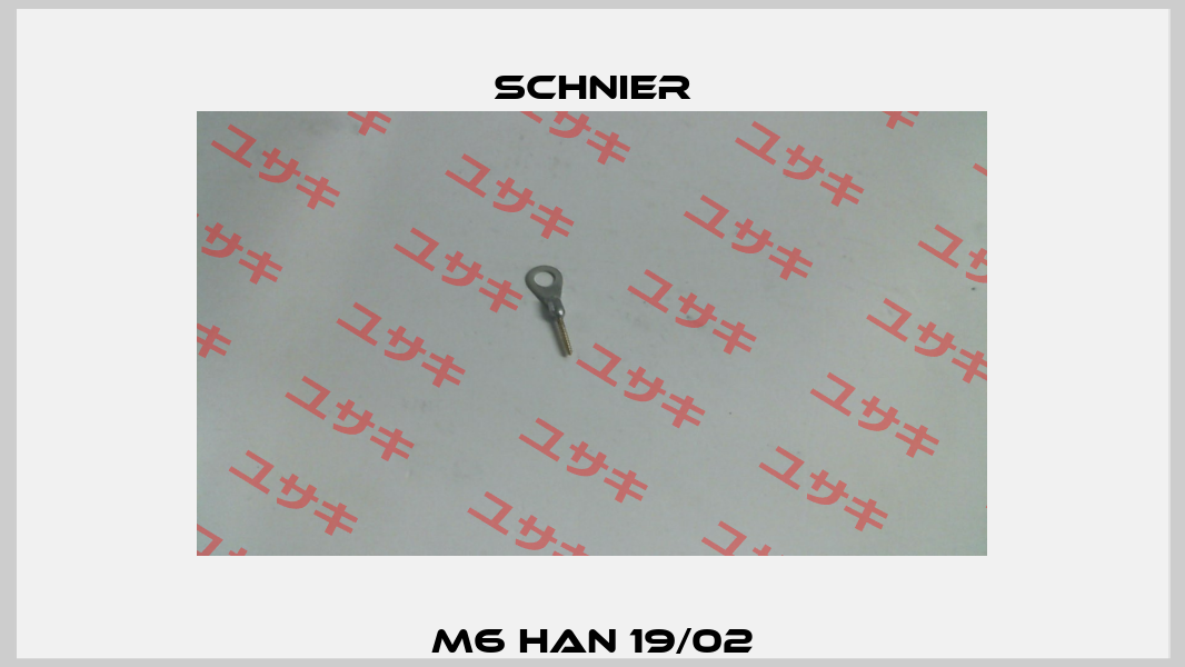 M6 HAN 19/02 SCHNIER