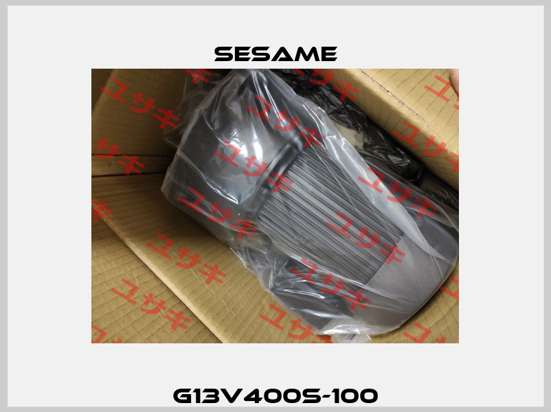 G13V400S-100 Sesame