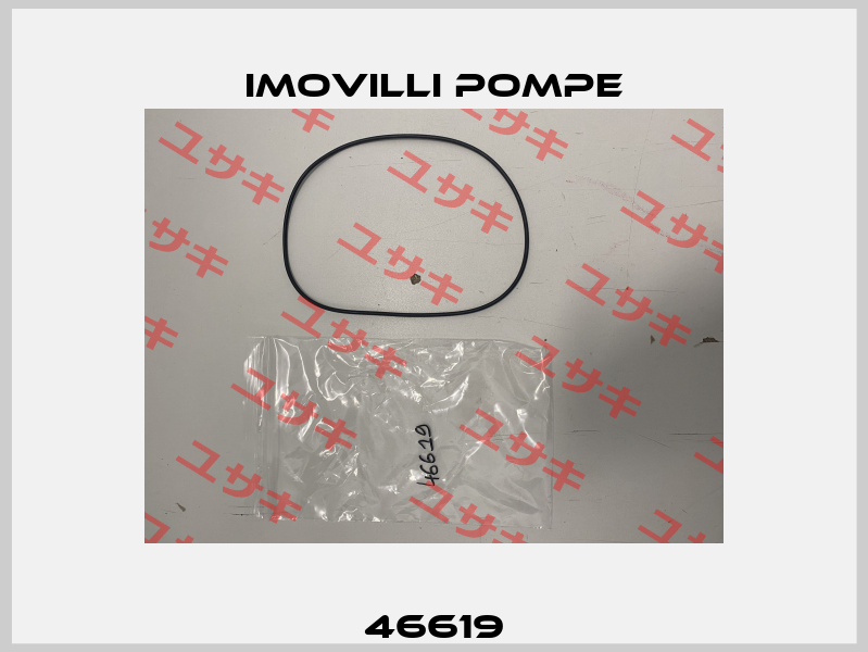 46619 Imovilli pompe