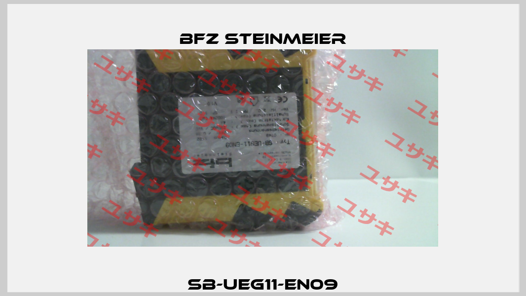 SB-UEG11-EN09 BFZ STEINMEIER