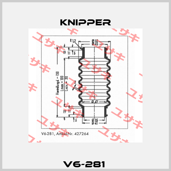 V6-281  Knipper