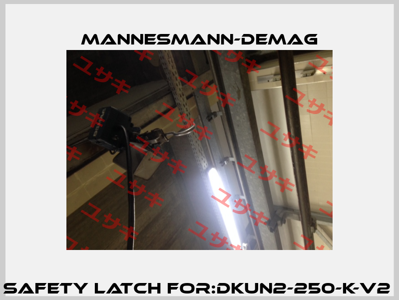 Safety Latch For:DKUN2-250-K-V2  Mannesmann-Demag