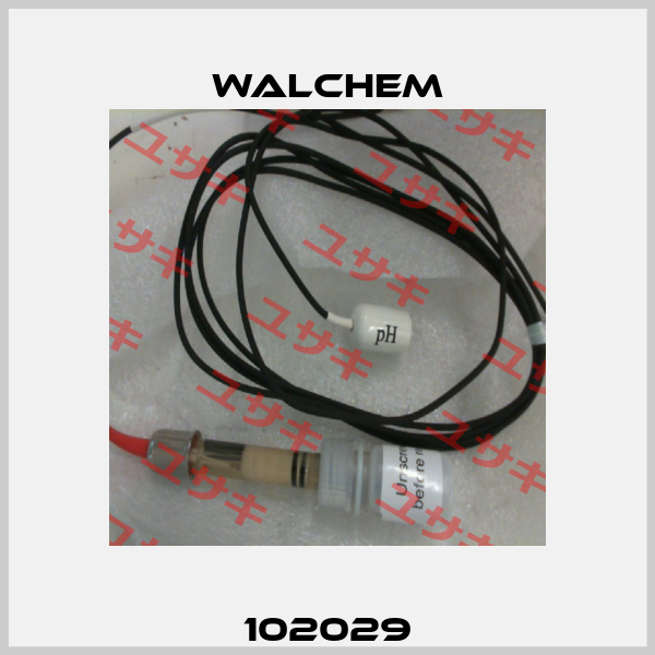 102029 Walchem