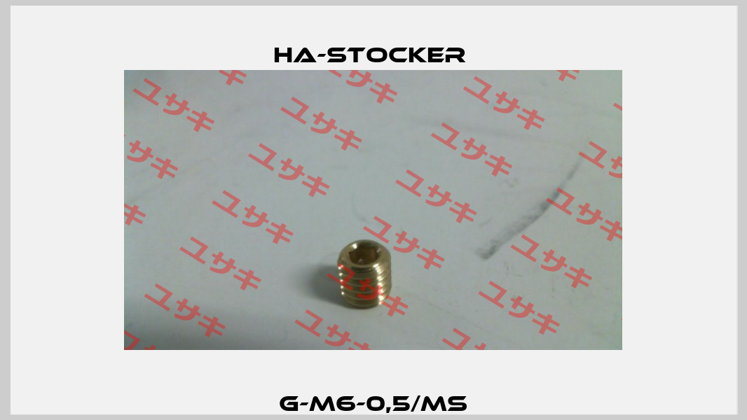 G-M6-0,5/Ms HA-Stocker 