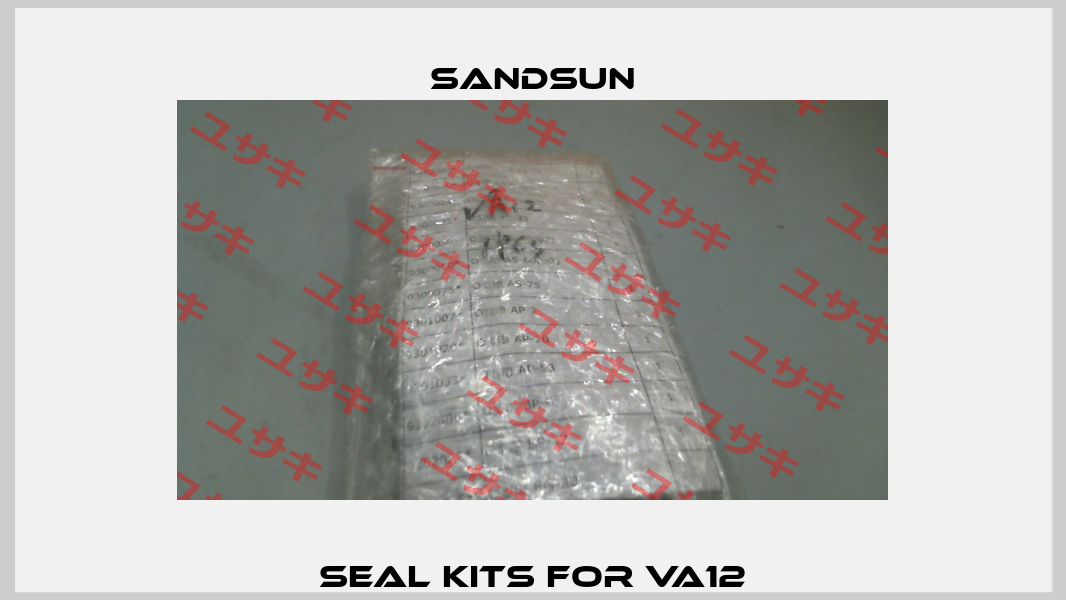 Seal Kits for VA12 Sandsun