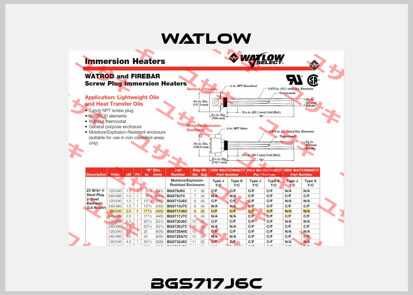 BGS717J6C Watlow