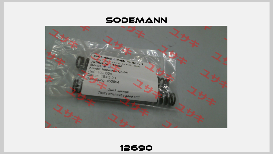 12690 Sodemann