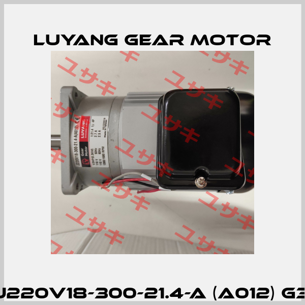 J220V18-300-21.4-A (A012) G3 Luyang Gear Motor