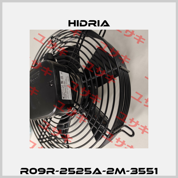 R09R-2525A-2M-3551 Hidria