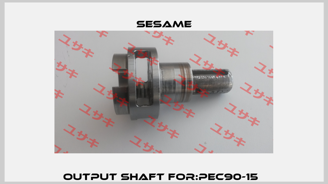 Output shaft For:PEC90-15   Sesame