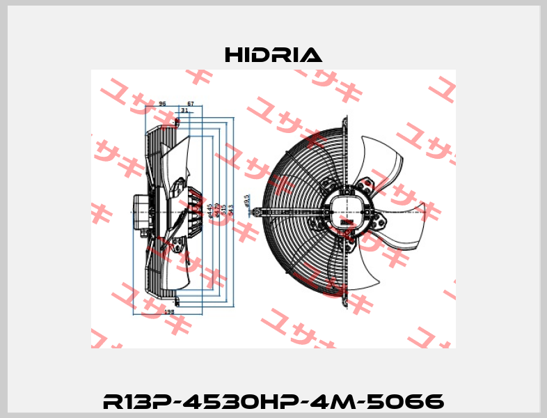 R13P-4530HP-4M-5066 Hidria