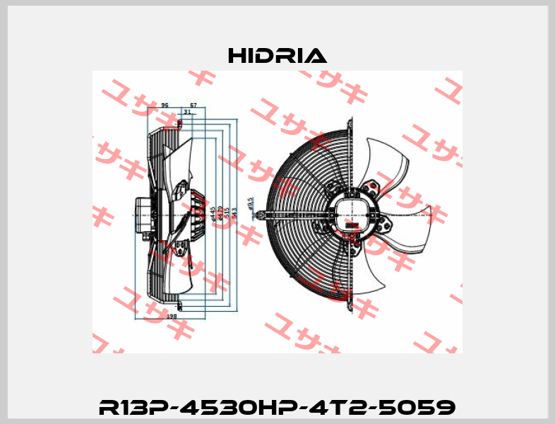 R13P-4530HP-4T2-5059 Hidria